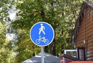Участок возле Олимпийской аллеи в Пензе благоустроят до конца года
