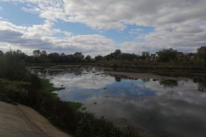 Ложе пруда на реке Юловка в Городище планируют расчистить