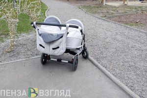 Пензячкам разъяснили, как выбирают претенденток на медаль «Материнская доблесть»