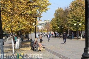 Мельниченко потребовал от властей Пензы навести порядок на улицах