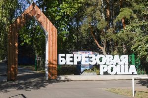 В парке «Березовая роща» в Сердобске высадят деревья в память об участниках СВО