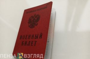 В осенний призыв жителям Пензенской области будут рассылать электронные повестки