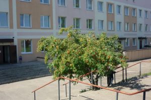 В белинской больнице ввели карантин из-за роста заболеваемости COVID-19