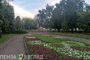 «Пензавтодору» посоветуют отремонтировать асфальт рядом со «Светофорным деревом»