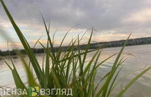 В Пензе не допустили гибели детей в летнюю оздоровительную кампанию
