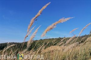 Жителям Пензенской области рассказали о погоде 28 сентября