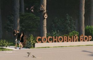 Памятник Годунову, часы с кукушкой и ёжермушка: архитектор рассказала о проекте преображения пешеходной дороги в Сердобске