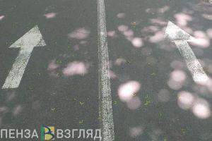 «Махнули кистью»: в Пензе проверят правильность нанесения разметки в Терновке