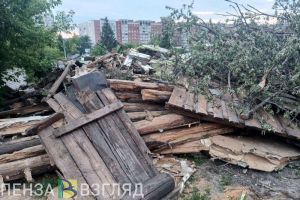 Пензенский губернатор потребовал убрать свалки вдоль дорог и в лесополосах
