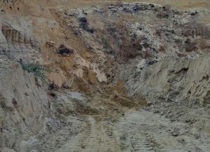 О незаконной добыче песка в Каменском районе сообщили правоохранителям