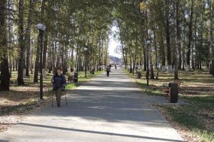 Благоустройство объекта «Суперпарк. Город Живой воды» в Каменке завершено на 87%