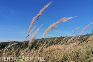 Пензенцы узнали прогноз погоды для начала октября в европейской части России