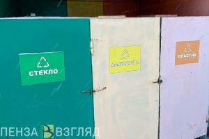 За первый день акции «Бумбатл» жители Пензы сдали 500 кг макулатуры