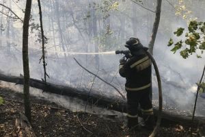 В Пензенской области пожарные за сутки ликвидировали 56 возгораний