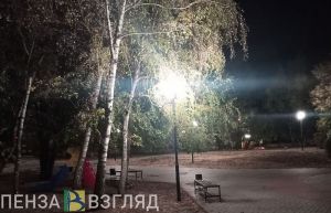 В Пензе восстановили освещение в сквере «45-й меридиан»