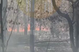 Жители Каменского района боятся, что их дома сгорят из-за серьезного пожара