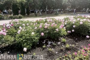 5 октября в Кузнецке пройдет общегородской субботник