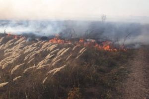 В Пензенской области сохранится чрезвычайная пожарная опасность в лесах