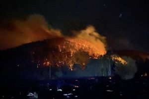 По состоянию на 1 октября в Пензенской области ликвидировали 48 лесных пожаров