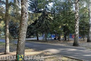 Сердобчане просят установить в парке «Березовая роща» аттракционы