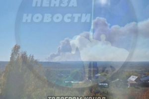 Информацию о 8 горящих домах в Шемышейском районе назвали фейковой