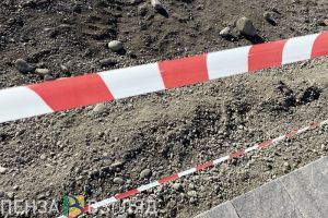 250 тысяч рублей выплатят пензенцу, упавшему в колодец на улице Рябова
