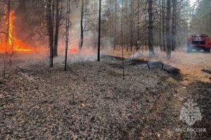 В Пензенской области за сутки произошло 25 пожаров