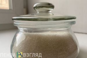 Пензенцы узнали о предложении штрафовать за завышенные цены на продукты