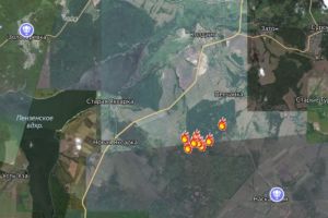 Опубликована карта пожара в Шемышейском районе Пензенской области