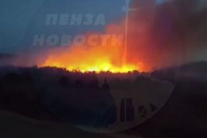 В Сердобском районе Пензенской области вечером сняли видео с горящим лесом