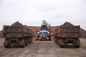 В Пензенской области собрали более 870 тысяч тонн сахарной свеклы