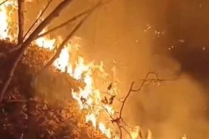 Опубликовано видео тушения большого пожара в Шемышейском районе