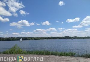 В Засечном перекроют понтонный мост