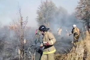 В Сердобском районе пожар на труднодоступной территории тушили с помощью ранцев
