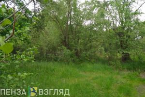 Дорогу «отодвинут» от прогулочной зоны сквера «Семейный» в Пензе