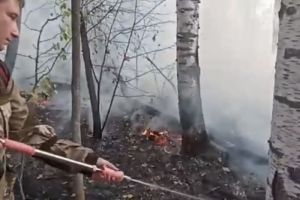 Пензенцам сообщили, что ликвидирован пожар в Шемышейском районе