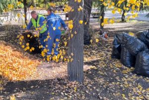 Пензенцы поучаствовали в общегородском субботнике