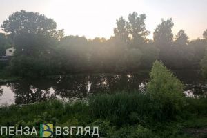 Минлесхоз Пензенской области планирует очистку трех рек