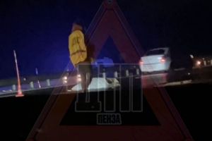 Соцсети: опубликовано видео с трассы М-5 в Пензе, где сбили насмерть 2 пешеходов
