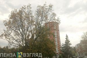 Дождь и холодный воздух: на погоду в Пензенской области повлияет циклон