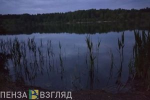 Жителю Каменского района вынесли приговор за 9 пойманных рыб