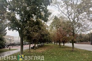 8 октября в Пензенской области прогнозируется 22 градуса тепла и дождь