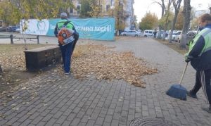 Пензенцам рассказали, куда вывозят листву с городских улиц