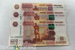 Названа сумма ежегодной выплаты Почетным гражданам Пензенской области