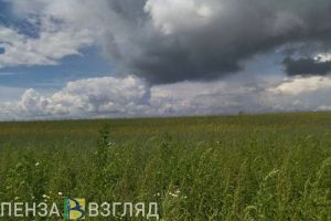 10 октября в Пензенской области похолодает до +14 градусов