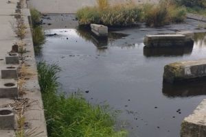 Администрация района: «Уровень воды в реке Сердобе восстановится»