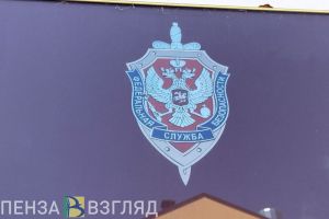 В Пензенской области организовали массовую проверку мигрантов