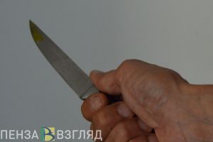 Жителю Каменки вынесли приговор за разбойное нападение и убийство пенсионерки