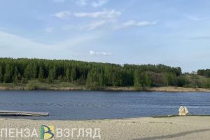 В Пензенской области очистили порядка 170 километров водных объектов