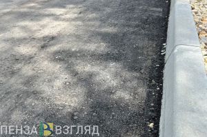В Колышлейском районе добиваются освещения на аварийном участке